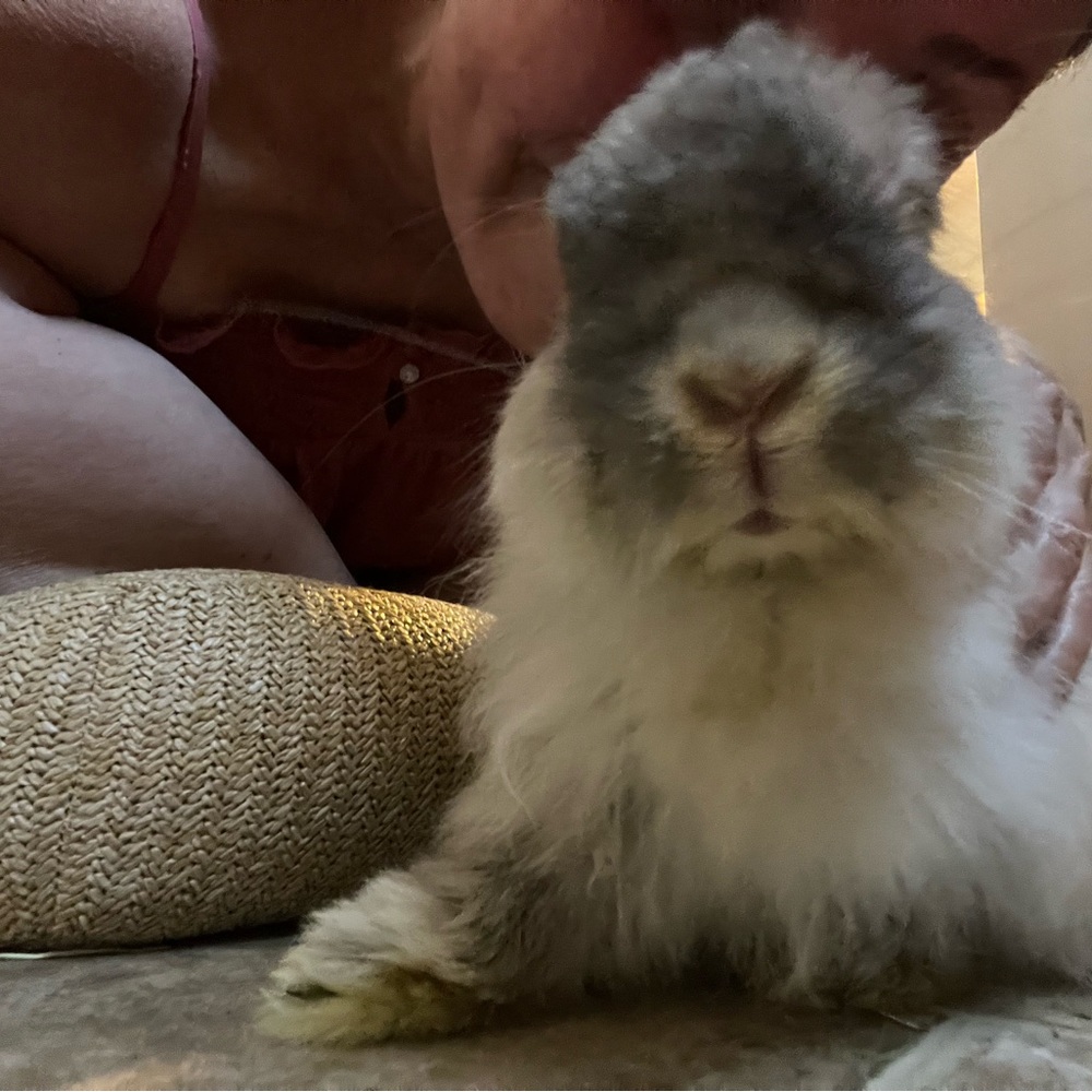 Meet your Posher, Nina